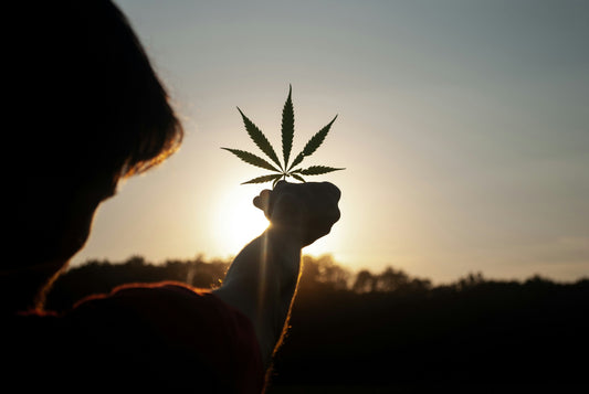 ¿Qué es el Cannabidiol (CBD)?