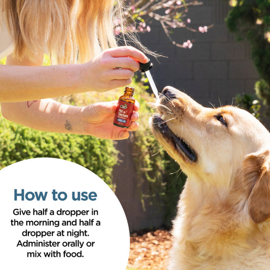 Tintura de CBD para Perros Broad Spectrum | Tocino 250MG-2,000MG