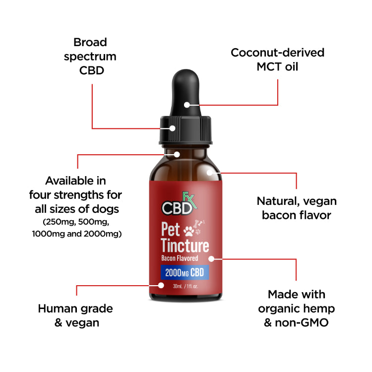 Óleo de CBD para Cães | Sabor Bacon 250MG-2.000MG
