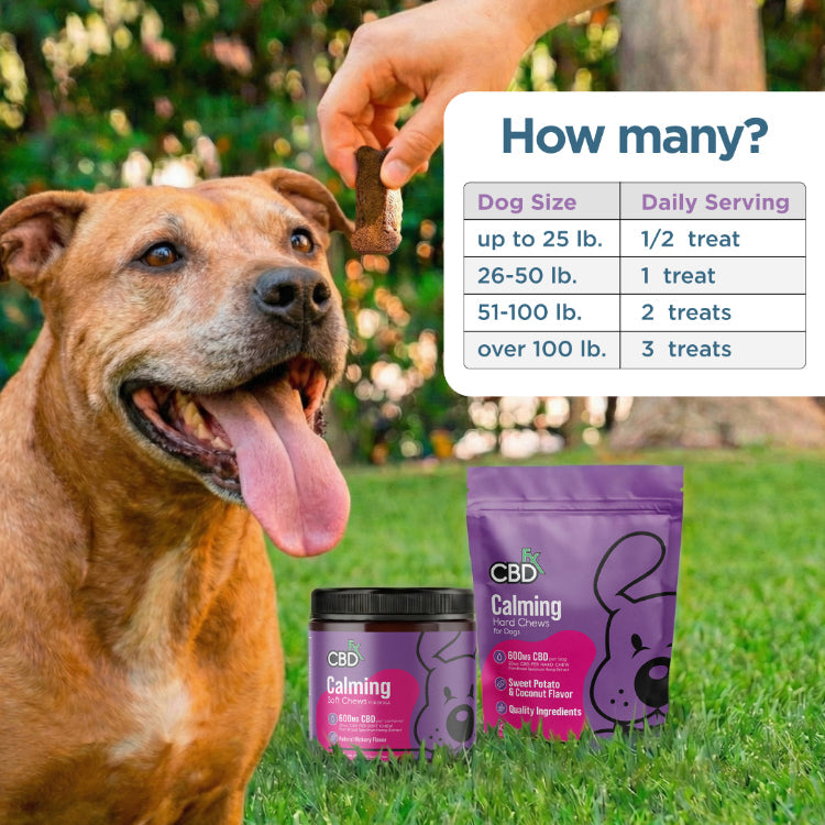 Calming CBD Chewable Tablets for Dogs 600MG