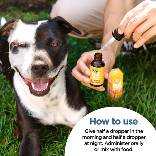 Tintura de CBD para Perros Broad Spectrum | Pollo 250MG-2,000MG