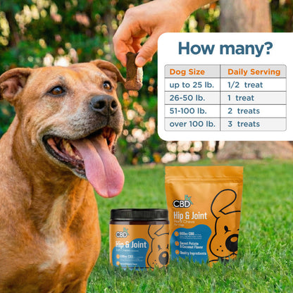 Biscoitos de CBD para quadril e articulações de cães 600mg