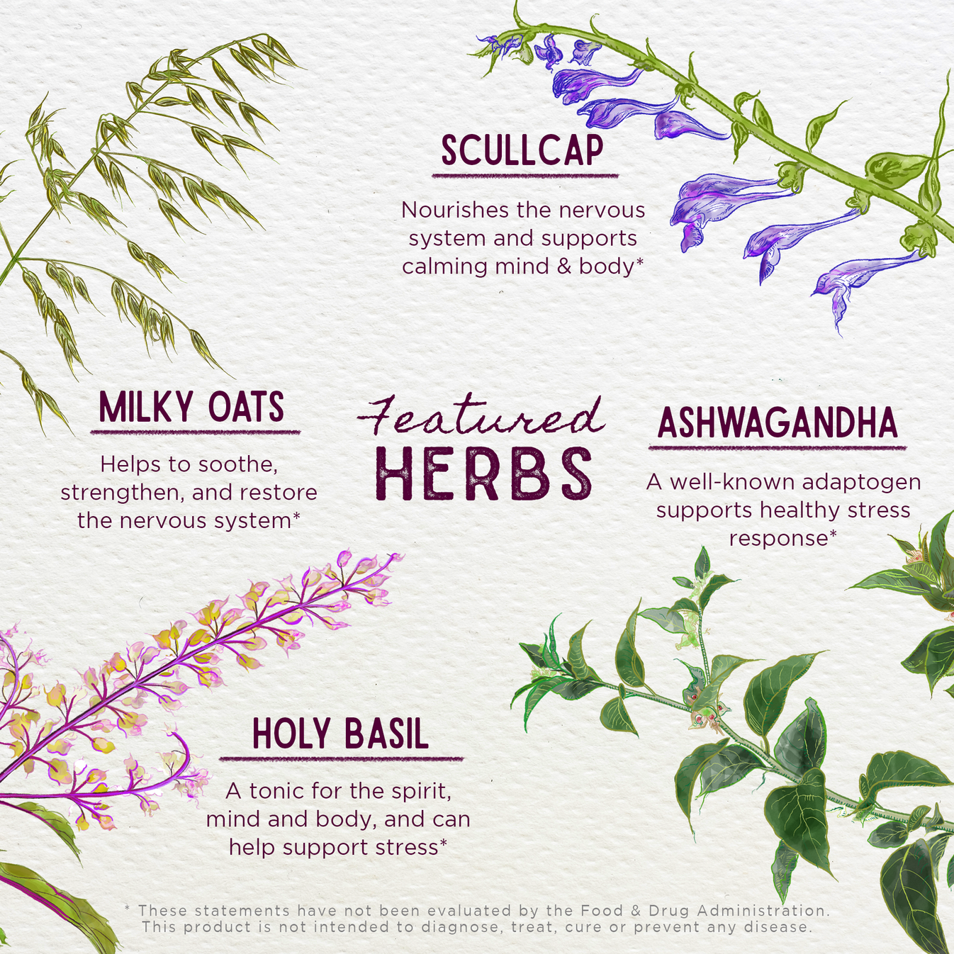 Tintura Herbal Deep Stress, Daily Calm 1 oz