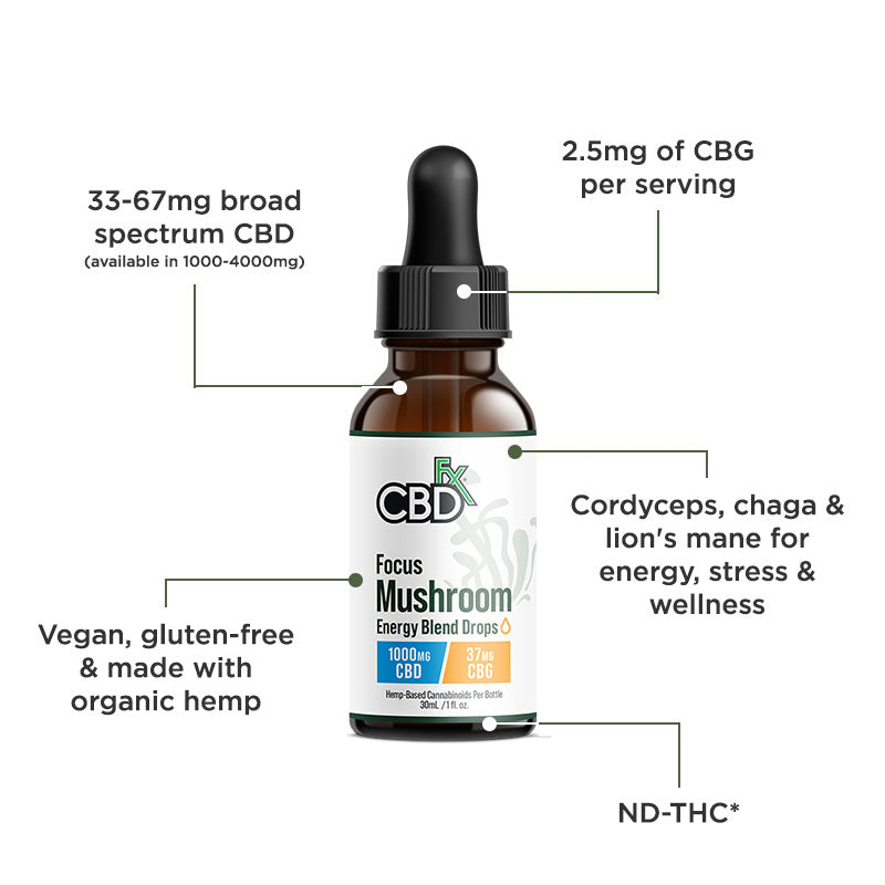 Óleo CBD + CBG + Cogumelos Focus | 1.000/2.000 mg
