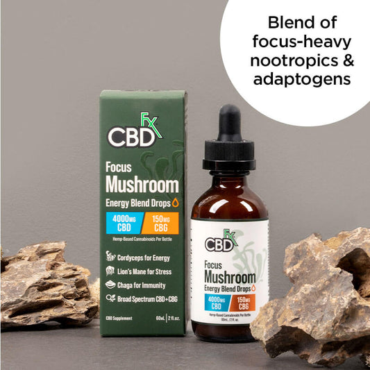 Tintura Focus CBD + CBG + Hongos Broad Spectrum (1,000-2,000 mg)