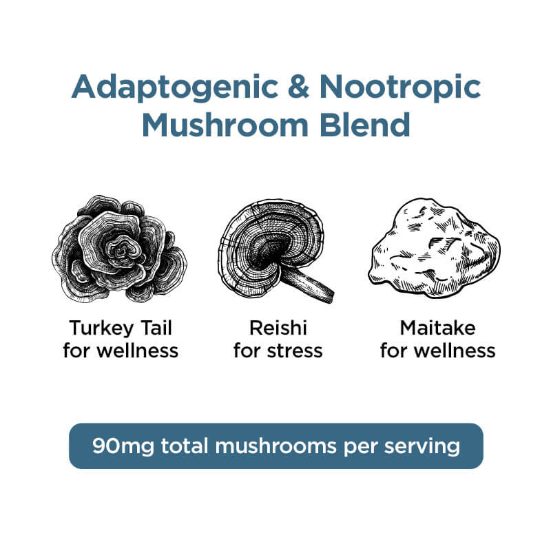 Relax CBD + CBN + Broad Spectrum Mushroom Tincture (1,000-2,000 mg)